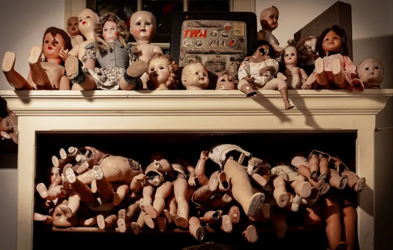 Weird, Wonderful, and Totally Worth It: Inside America's Booming Curiosity Collecting Scene