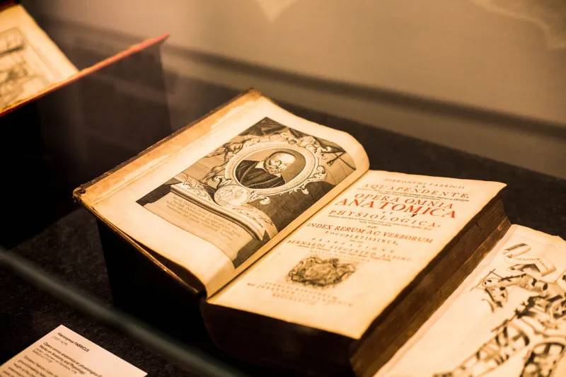 What Museums Aren't Telling You About Where Their Stuff Actually Came From